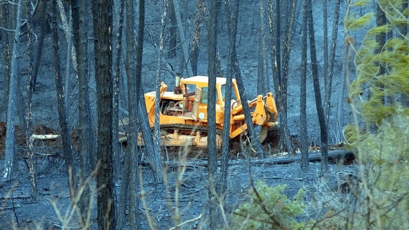 Bursa ve Çanakkale'de çıkan orman yangınları 18 saatte söndürüldü