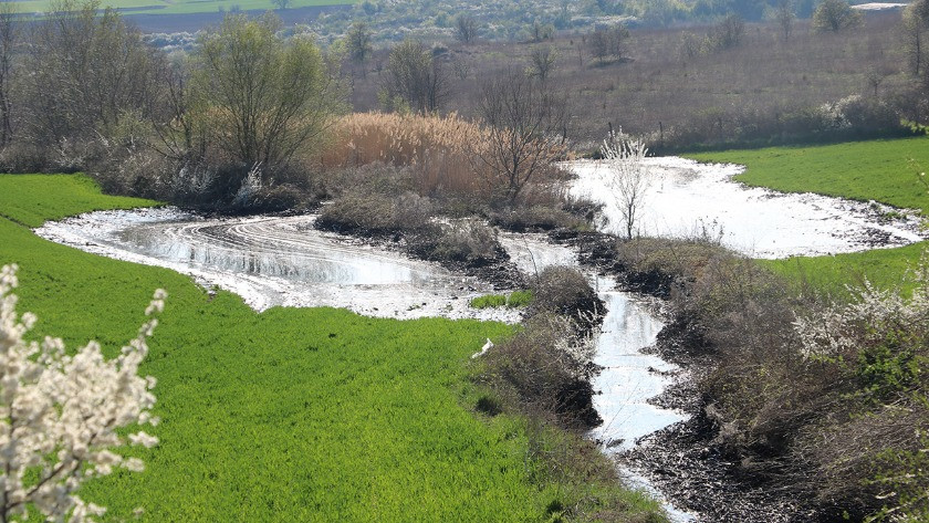 Edirne'de zift malzemesinin çevreye sızmasıyla ilgili inceleme