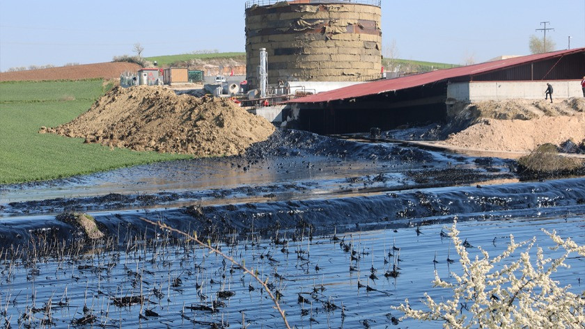 Edirne'de çevre felaketine sebep olan zift için çalışma başlatıldı