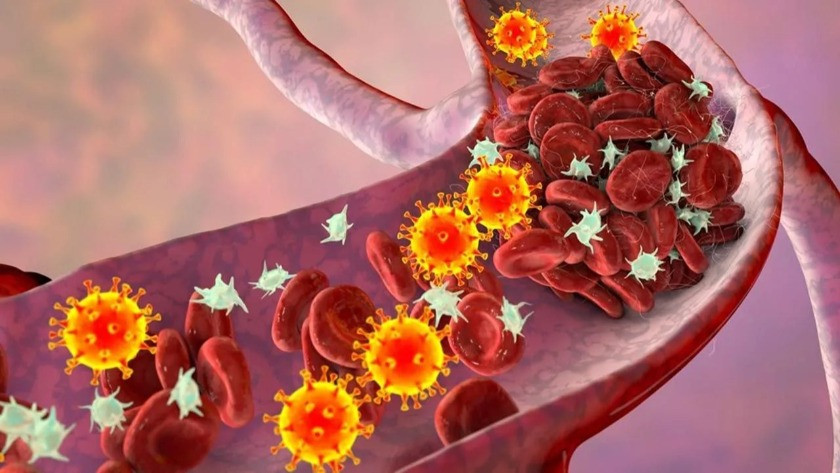 Koronavirüste korkutan veriler: Kanda pıhtı geliştirme riski çok arttı
