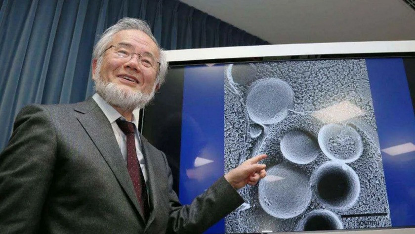 Japon bilim insanı Yoshinori Ohsumi'den oruç açıklaması!