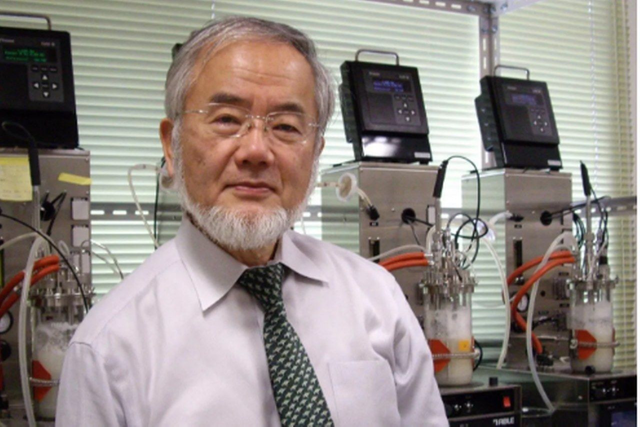Japon bilim insanı Yoshinori Ohsumi'den oruç açıklaması! - Sayfa 3