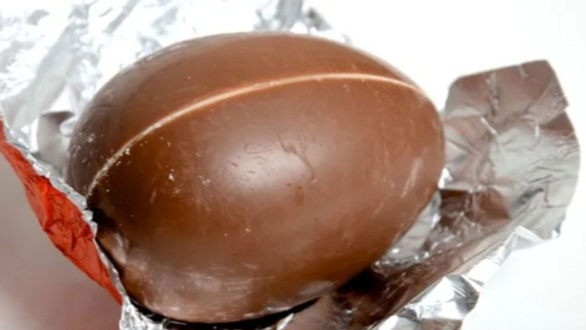 Sürpriz yumurta çikolatasında salmonella analizi yüzde yüze çıkarıldı