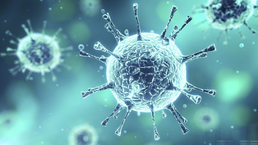 Gizemli virüs paniği büyüyor! Avrupa risk raporunu açıklayacak