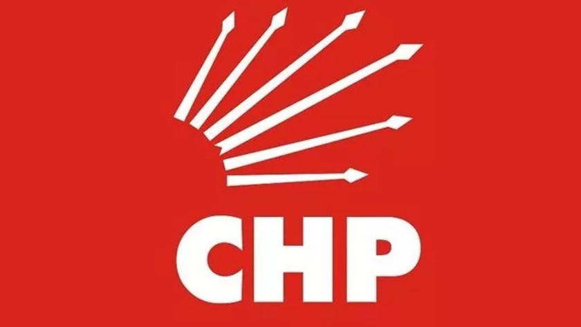 CHP ABD temsilcisi Yurter Özcan havalimanında gözaltına alındı