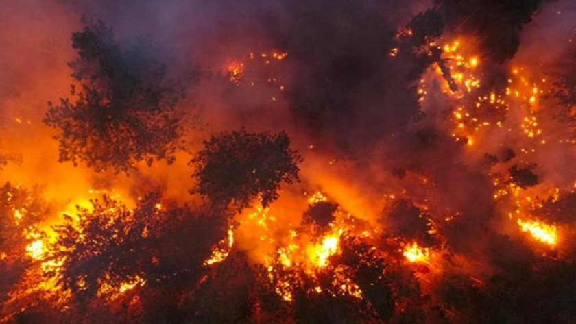 Rusya'da 250 hektarlık alanda yangın çıktı! OHAL ilan edildi