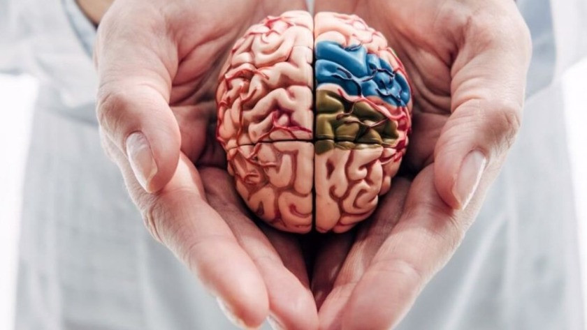 Beyni 20 yaş gençleştirip Alzheimer riskini yüzde 40 düşürüyor!