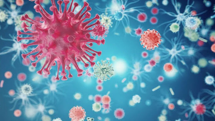 Norovirüs nedir? Norovirüs belirtileri nelerdir?