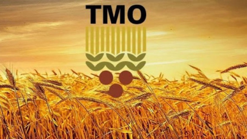 Buğday taban fiyatı beklenirken, TMO'dan açıklama geldi!