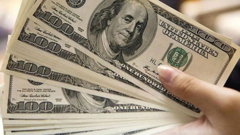 Ünlü Ekonomistten dolar tahmini: Dolar 14 liraya inecek