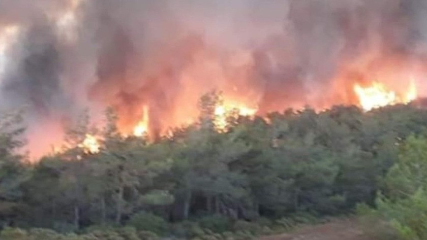 Marmaris Bördübet mevkiindeki Amazon Koyu'nda orman yangını çıktı