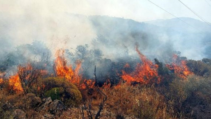 Bir orman yangınları sürüyor! Bir yangın da Köyceğiz'de çıktı