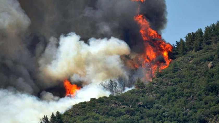 İzmir’de iki orman yangını sürüyor!