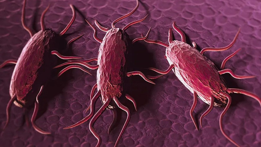 ABD'de Listeria bakterisi korku yarattı! İlk ölüm gerçekleşti