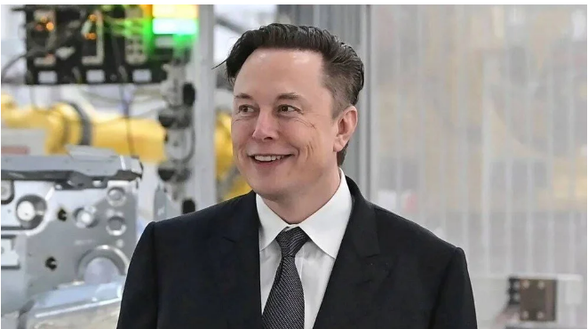 Elon Musk'ın şirket çalışanından ikiz çocuğu olduğu ortaya çıktı - Sayfa 1