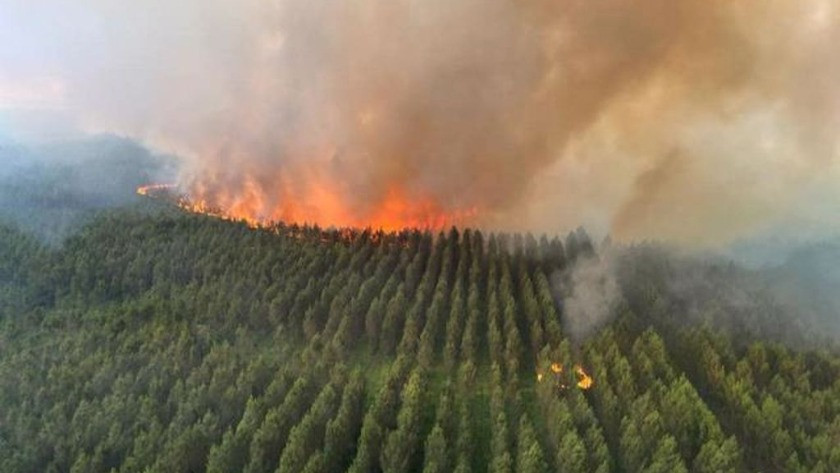 Fransa'daki orman yangının bilançosu ağır oldu! 7 bin hektar kül oldu!
