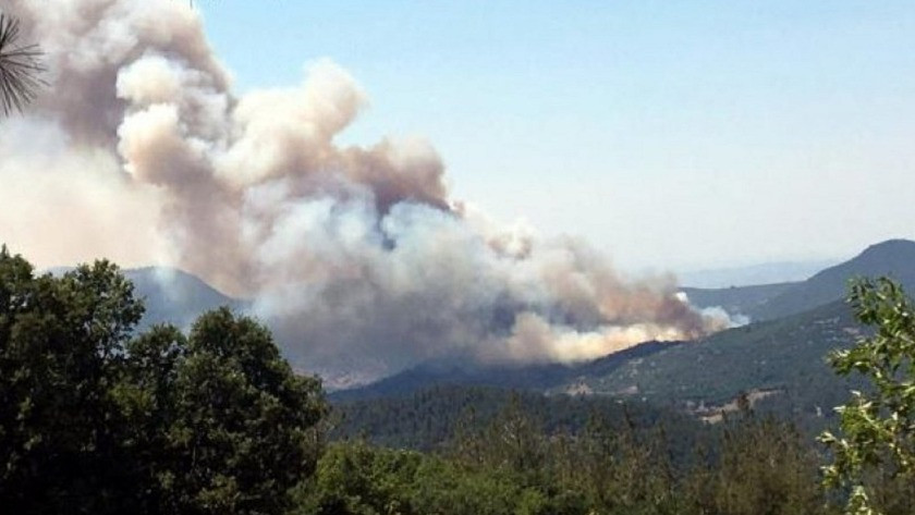 Balıkesir'de orman yangını! Söndürme çalışmaları devam ediyor!