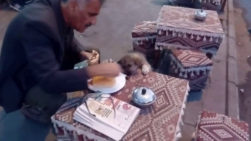Yemeğini sokak köpeği ile paylaşan vatandaş herkesi duygulandırdı