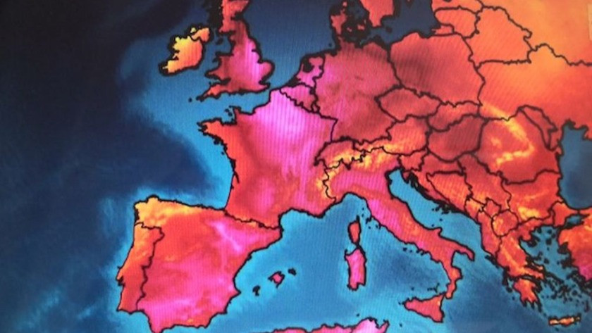 Avrupa'da sıcak hava paniği! Portekiz'de can kayıpları bini aştı!