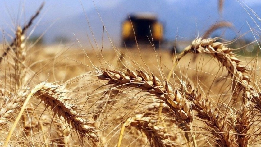 Tahıl krizi aşılıyor! Tahıl sevkiyatı anlaşması yapılacak