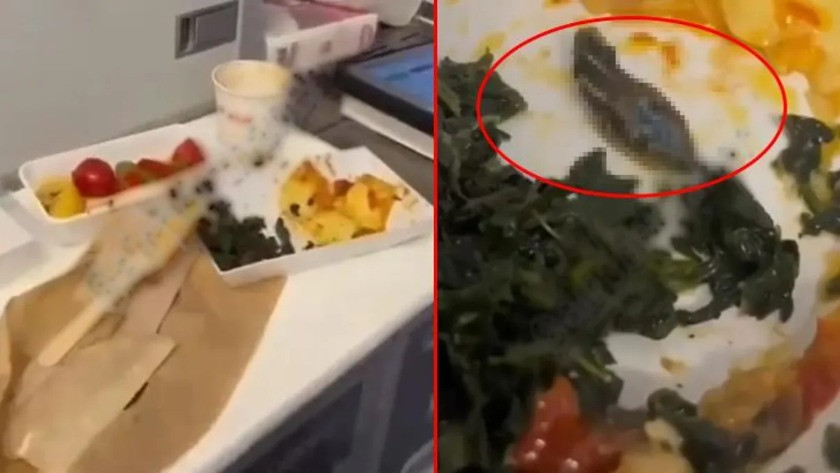 Uçaktaki yemekten yılan ve salyangoz çıktı!