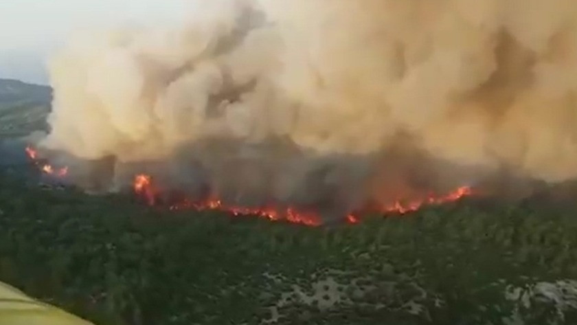 Aydın’ın Söke ilçesindeki bir ormanlık alanda korkutucu yangın!
