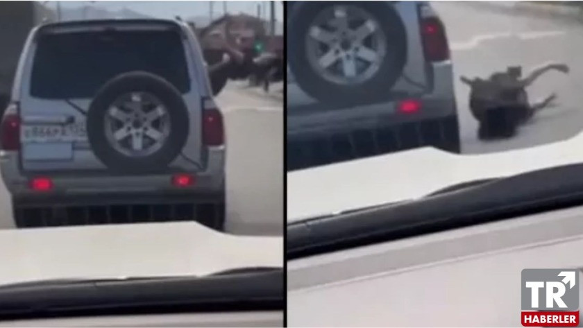 Arabanın camına oturarak dans eden kadın bir anda yola düştü!