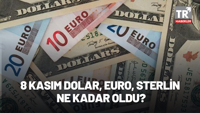 8 Kasım Döviz Fiyatları: Dolar, Euro, Sterlin ne kadar oldu?