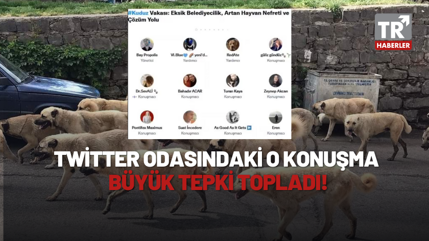 Başıboş köpekler için toplanan Twitter odasında skandal konuşmalar!