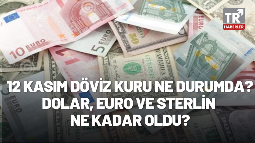 12 Kasım 2022 Döviz Kuru ne durumda? Dolar, Euro ne kadar oldu?