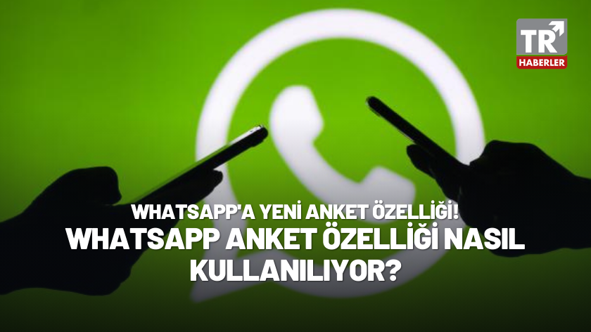 WhatsApp'a yeni anket özelliği geldi! WhatsApp anket özeliği nasıl kullanılır?