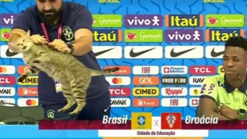 Vinicius Junior'un Dünya Kupası basın toplantısında skandal hareket! Kediyi böyle fırlattı