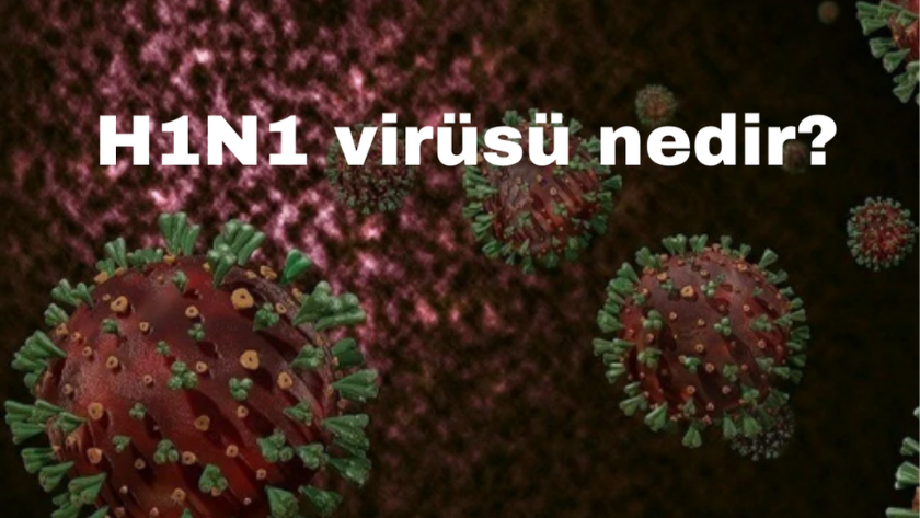 H1N1 virüsü nedir, belirtileri nelerdir? H1N1 virüsü bulaşıcı mı?