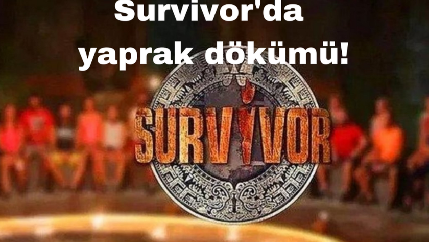 Survivor'da yaprak dökümü! Bir isim daha yarışmadan ayrıldı!