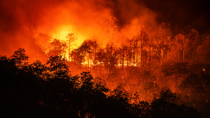 Sıcaklıkların Artmasıyla Türkiye'nin Her bölgesinde Orman Yangını