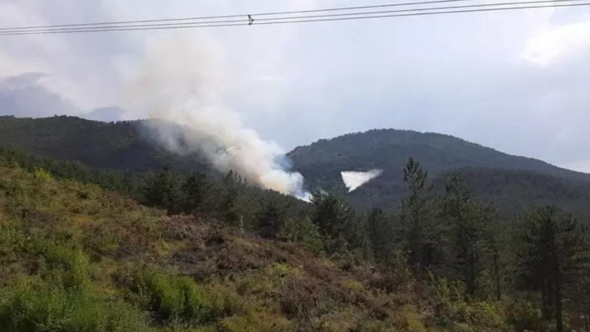 Bolu'da Ormanlık Bölgede Yangın Çıktı