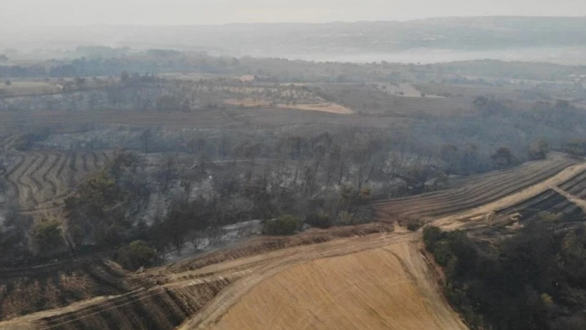 Çanakkale'deki orman yangınında etkilenen bölgeler havadan kaydedildi