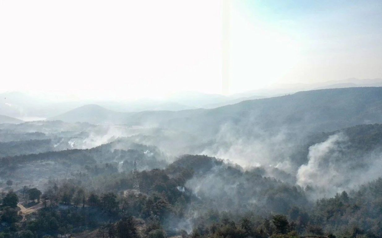 Çanakkale'deki orman yangınında etkilenen bölgeler havadan kaydedildi - Sayfa 3