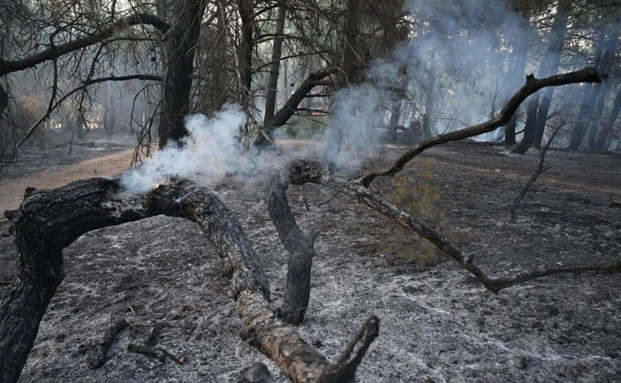 Çanakkale'deki orman yangınında etkilenen bölgeler havadan kaydedildi - Sayfa 2