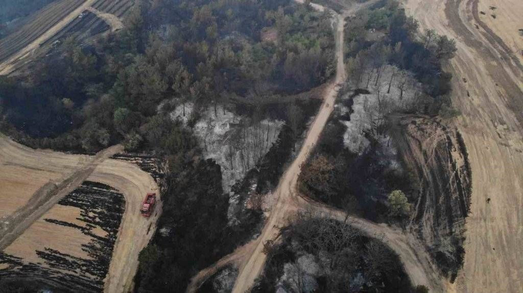 Çanakkale orman yangın sonrası havadan görüntülendi - Sayfa 3