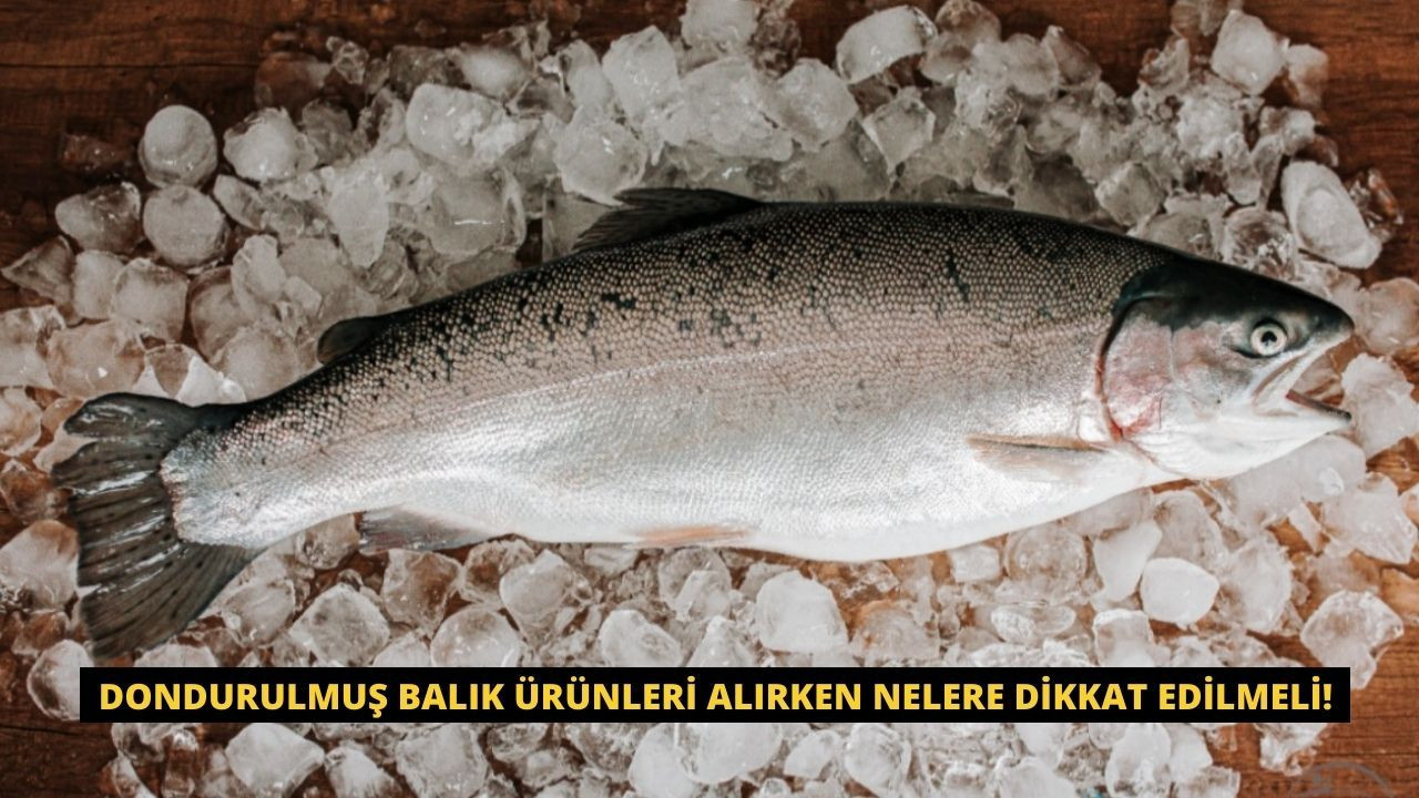 Dondurulmuş Balık Ürünleri Alırken Nelere Dikkat Edilmeli! - Sayfa 1