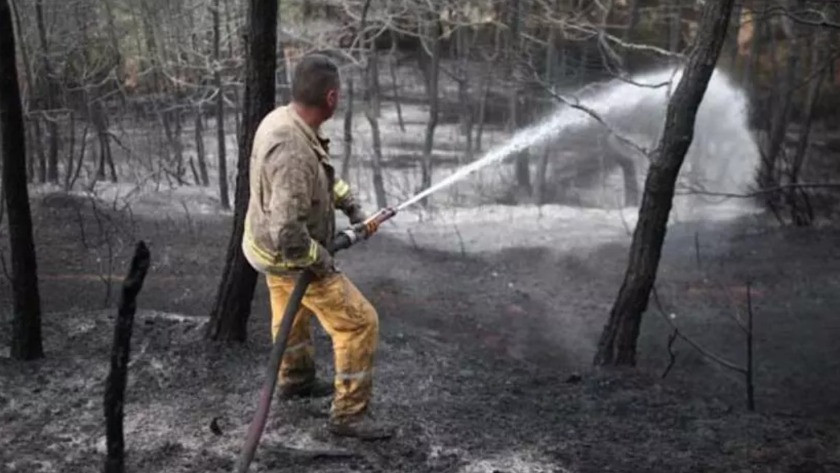 Bursa'daki orman yangını 17 saatte kontrol altına alındı