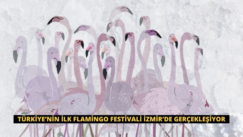 Türkiye’nin ilk Flamingo Festivali İzmir’de Gerçekleşiyor