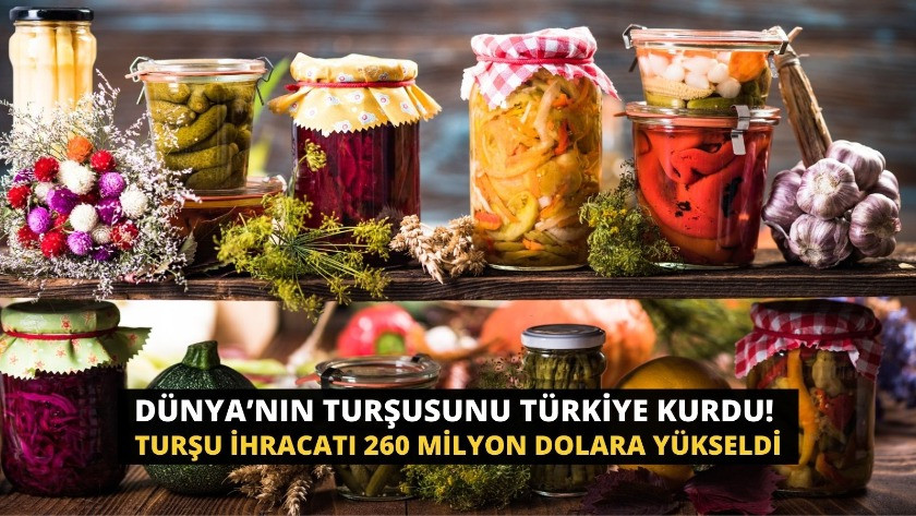 Dünya’nın turşusunu Türkiye kurdu! Turşu ihracatında rekor