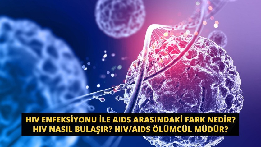 HIV enfeksiyonu ile AIDS arasındaki fark nedir? HIV nasıl bulaşır?