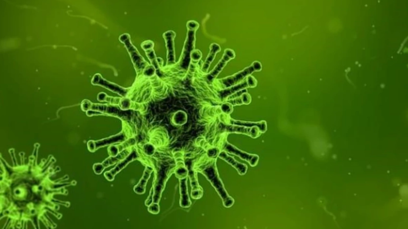 Zombi virüsü nedir, nasıl bulaşır? Zombi virüsü nerelerde görüldü?