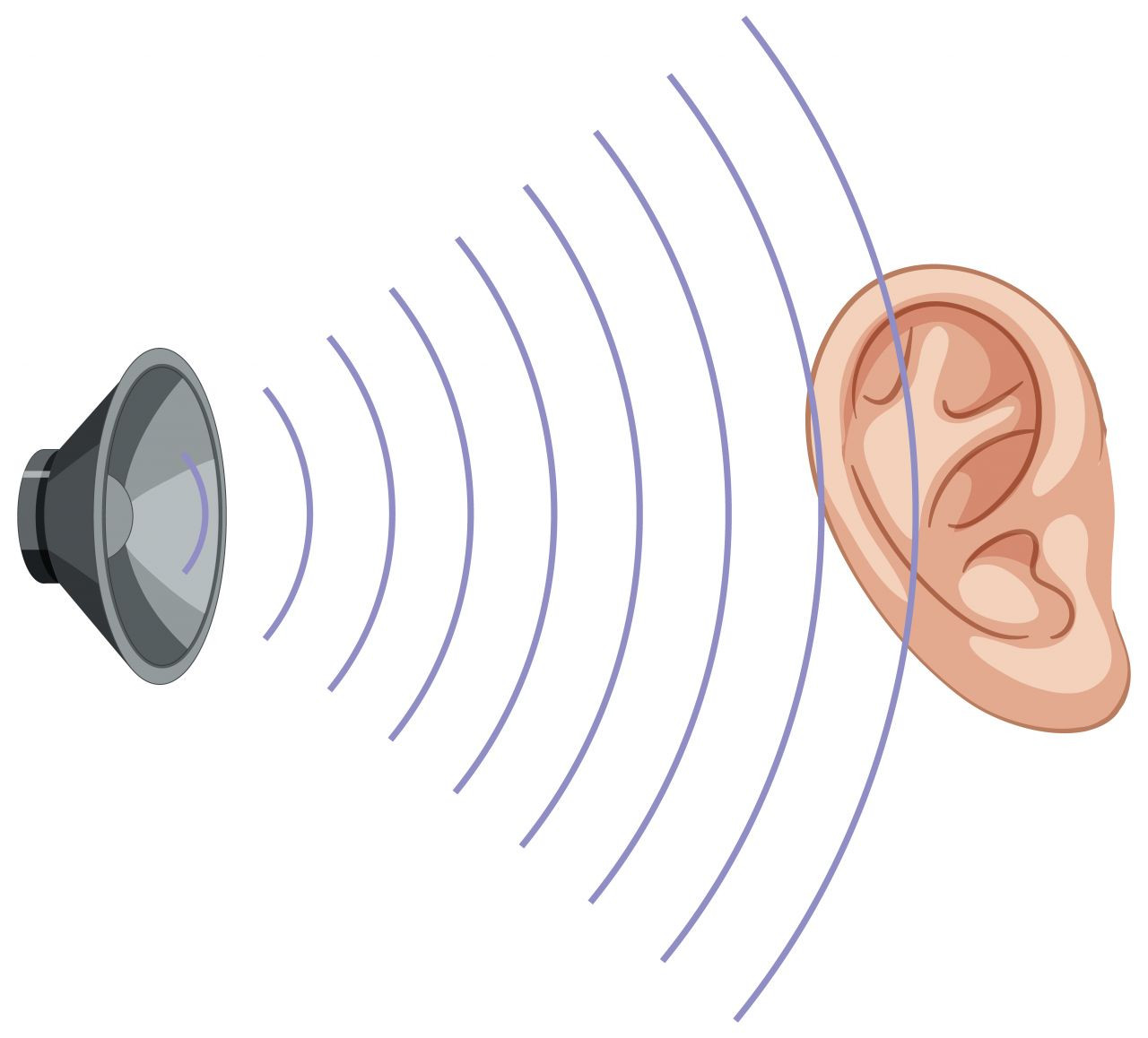 Gürültüye bağlı işitme kaybı kalıcı ve geri döndürülemez olabilir! 3 Mart Dünya Kulak ve İşitme Günü - Sayfa 3