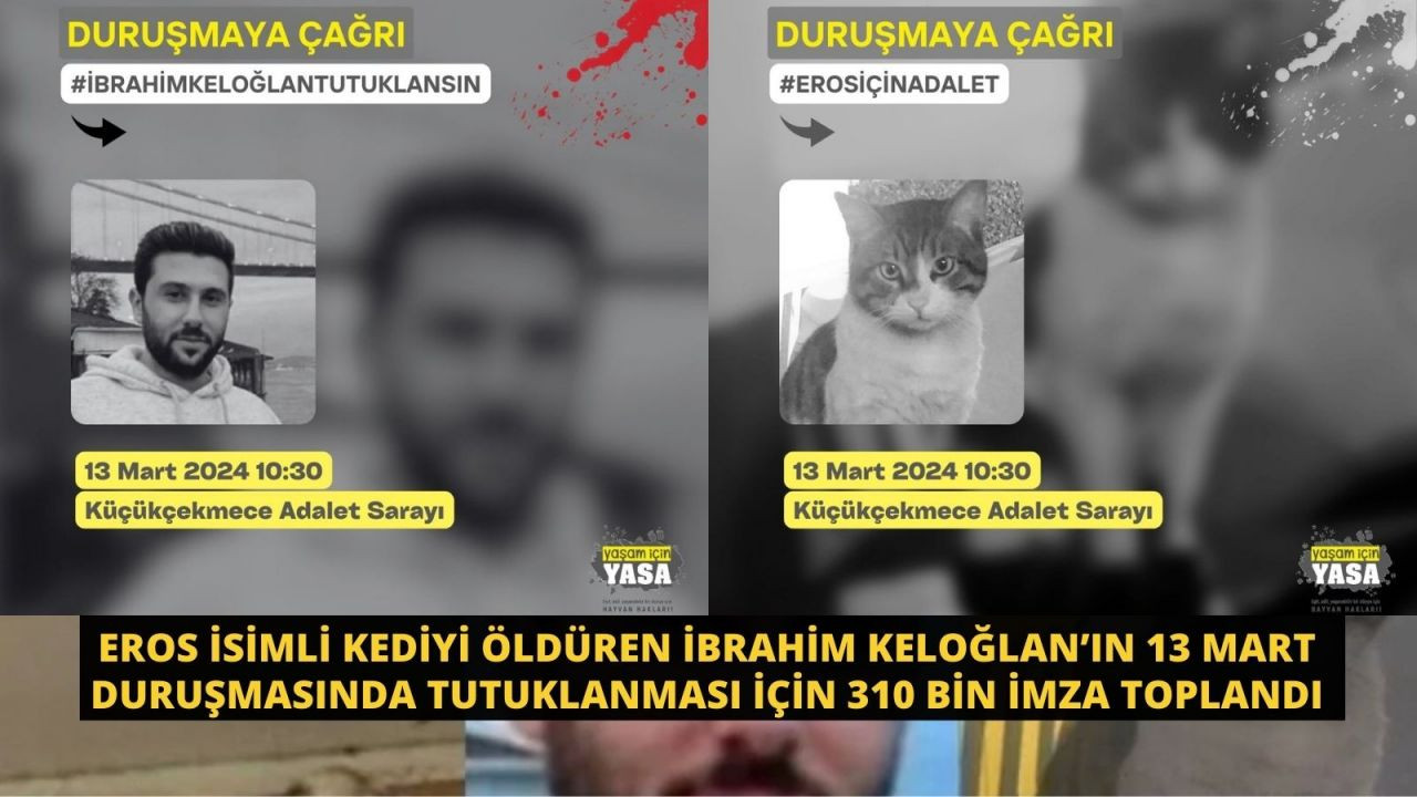 Eros Kediyi Öldüren İbrahim Keloğlan’ın 13 Mart Duruşmasında Tutuklanması için 310 Bin İmza - Sayfa 1