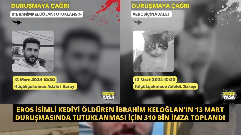 Eros Kediyi Öldüren İbrahim Keloğlan’ın Tutuklanması için 310 Bin İmza
