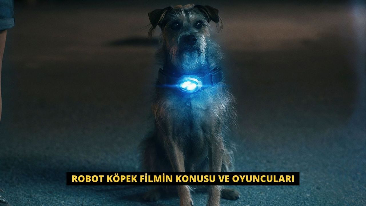 Robot Köpek Filmin Konusu ve Oyuncuları - Sayfa 1